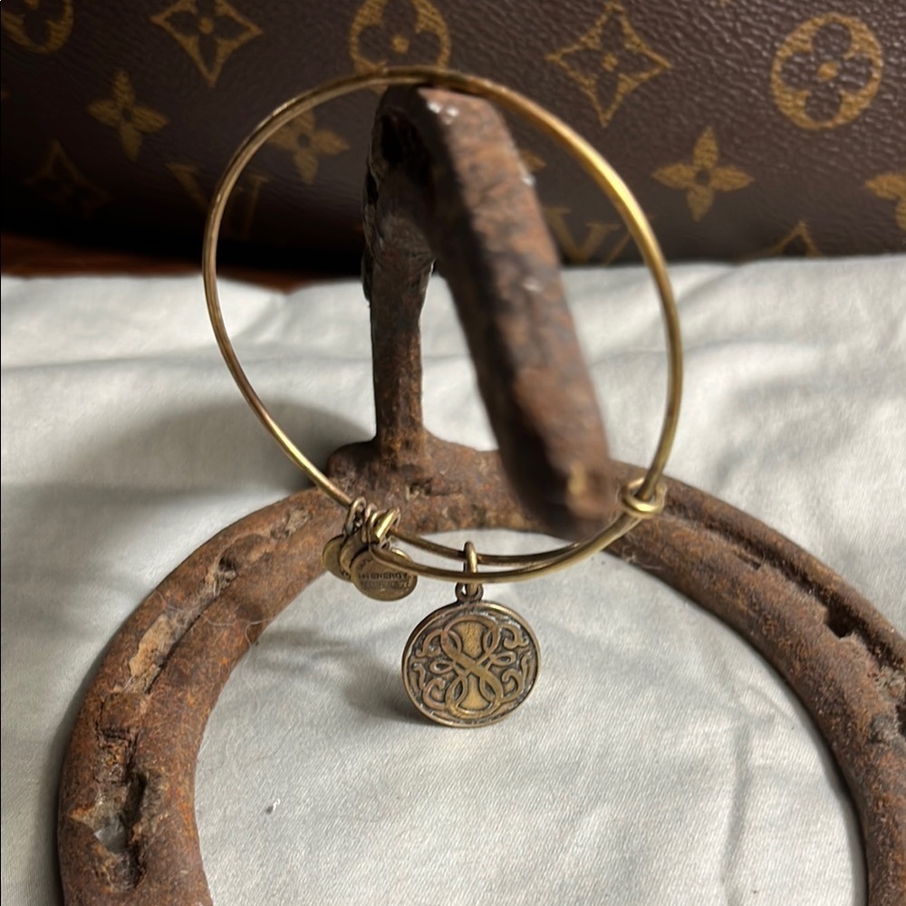 Alex and Ani Gold Charm Bracelet